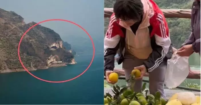 湖北長江邊現巨型「小狗山」 天然輪廓神似酣睡唐狗吸引遊客打卡帶旺經濟
