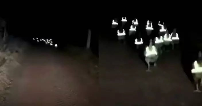 深夜見「神秘發光生物」四處遊走 西班牙女嚇壞報警 警員到場揭爆笑真相