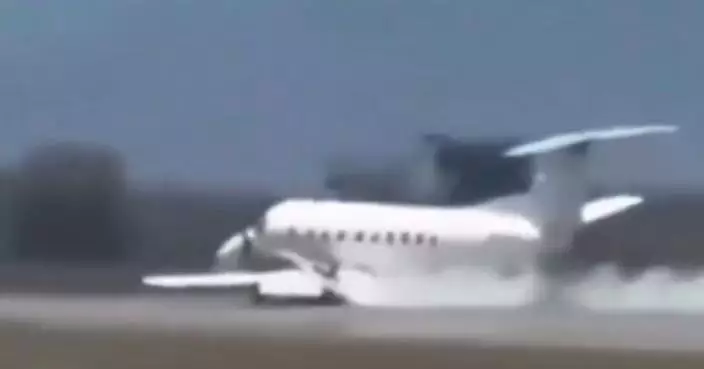 斑馬突闖跑道遭飛機撞斃 觀光機起落架受損 機腹擦跑道冒煙迫降