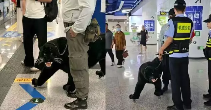 濟南地鐵驚現乘客牽「黑豹」？真身其實係…… 網民：以為申公豹下凡