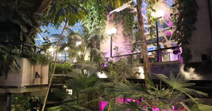 擁八百種珍稀植物！倫敦巴比肯溫室閉館擬閉館3年升級改造 掀植物認養潮