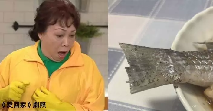 今年蟻患特別嚴重？港女蒸魚驚見螞蟻遍布魚尾 網民熱議滅蟻心得
