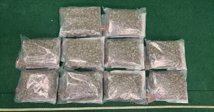 ​兩內地客泰國抵港行李藏9.8公斤懷疑大麻花 被控販毒10.13提堂