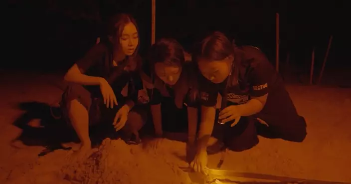 《毛國界義工假期》葛綽瑤為小海龜殘酷生存率心痛落淚 陳俞希指海龜義工值得體驗