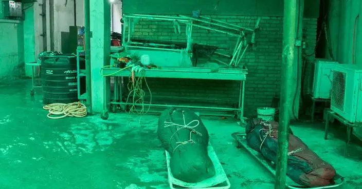 尼泊爾雪崩｜喜馬隆峰發現8具遺體 死亡人數增至15人