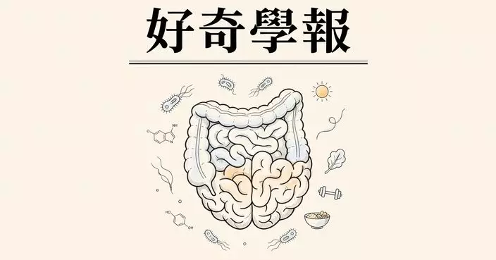 你的快樂，可能住在這個器官內—被低估的「第二大腦」