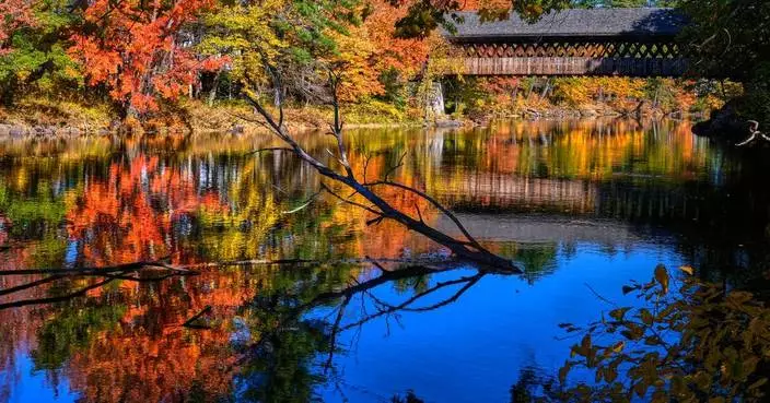 美國秋色處處  展現秋日美景