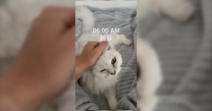 香港警察分享軍裝巡邏小隊早更日常