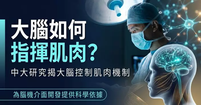 中大最新研究揭大腦控制肌肉機制 為腦機介面開發提供科學依據