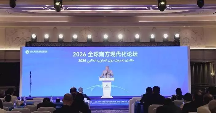 2026年全球南方現代化論壇在開羅舉行 呼籲有效利用人工智能