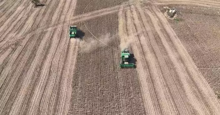 中國秋糧收割進度超四成 多地推廣機械化助農增收
