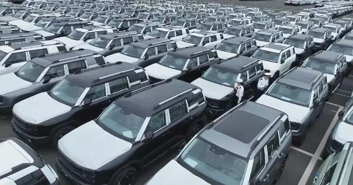 中國新能源汽車首三季銷量強勁增長
