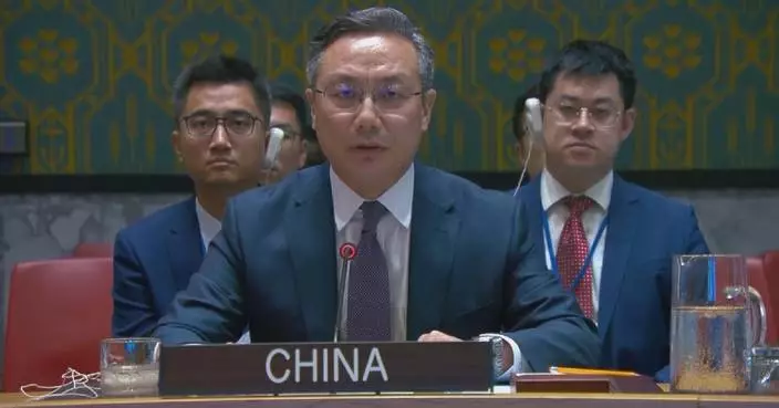 中國促敘利亞採務實措施 應對國際社會關注