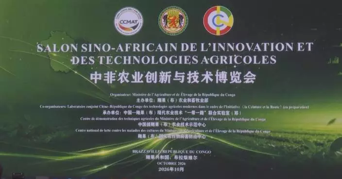 中國助剛果農民增產增收 農業科技合作計劃見成效