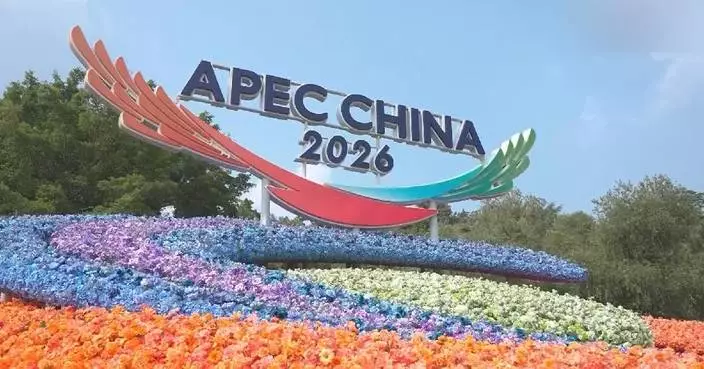 深圳街頭花團錦簇 迎接亞太經合組織領袖會議