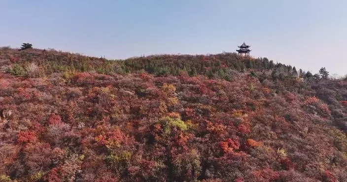 太原市郊秋色迷人 山脈披紅橙金黃秋裝