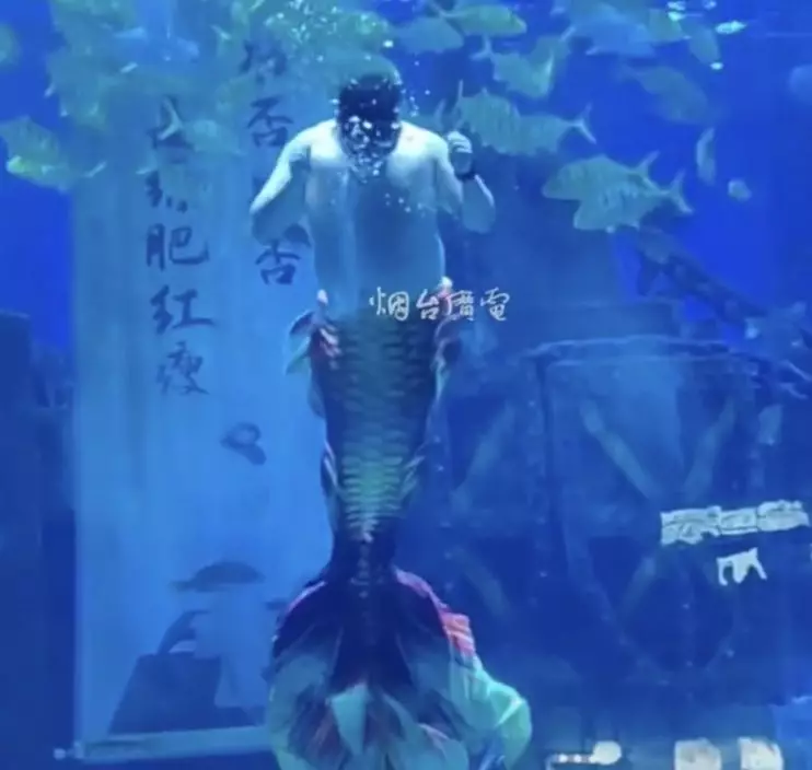 影片截圖