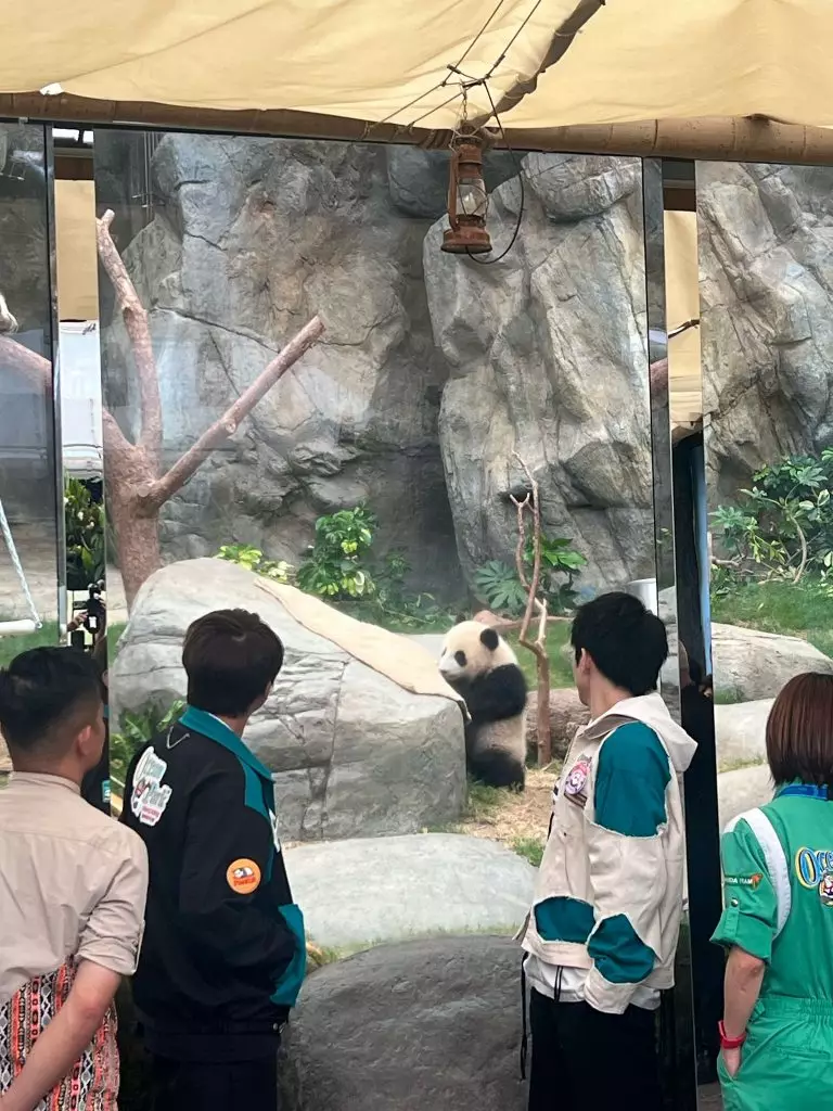 了解更多大熊貓保育知識。(本網記者攝)