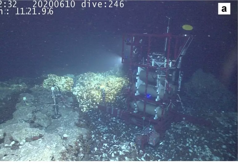 放於南海北部冷泉區的深海實驗室。