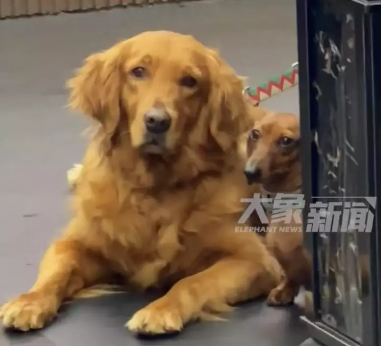 影片截圖