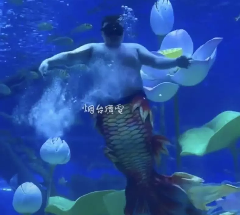影片截圖