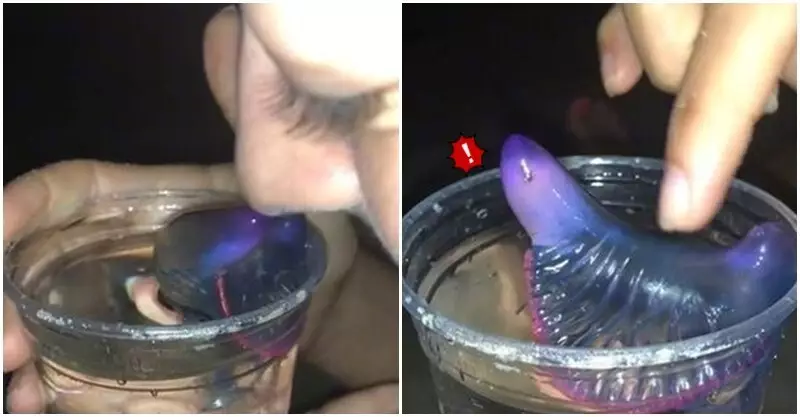 網上圖片