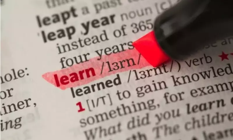 有聲音指耗費多學習卻學出「啞巴英語」。