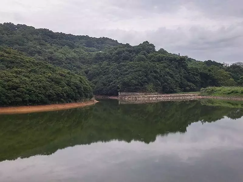薄扶林水塘(香港自遊樂在18區網站圖片)