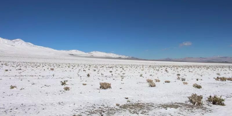 號稱「世界最乾燥沙漠」 智利阿塔卡瑪沙漠10年首見降雪。X平台圖片@Lev1446491