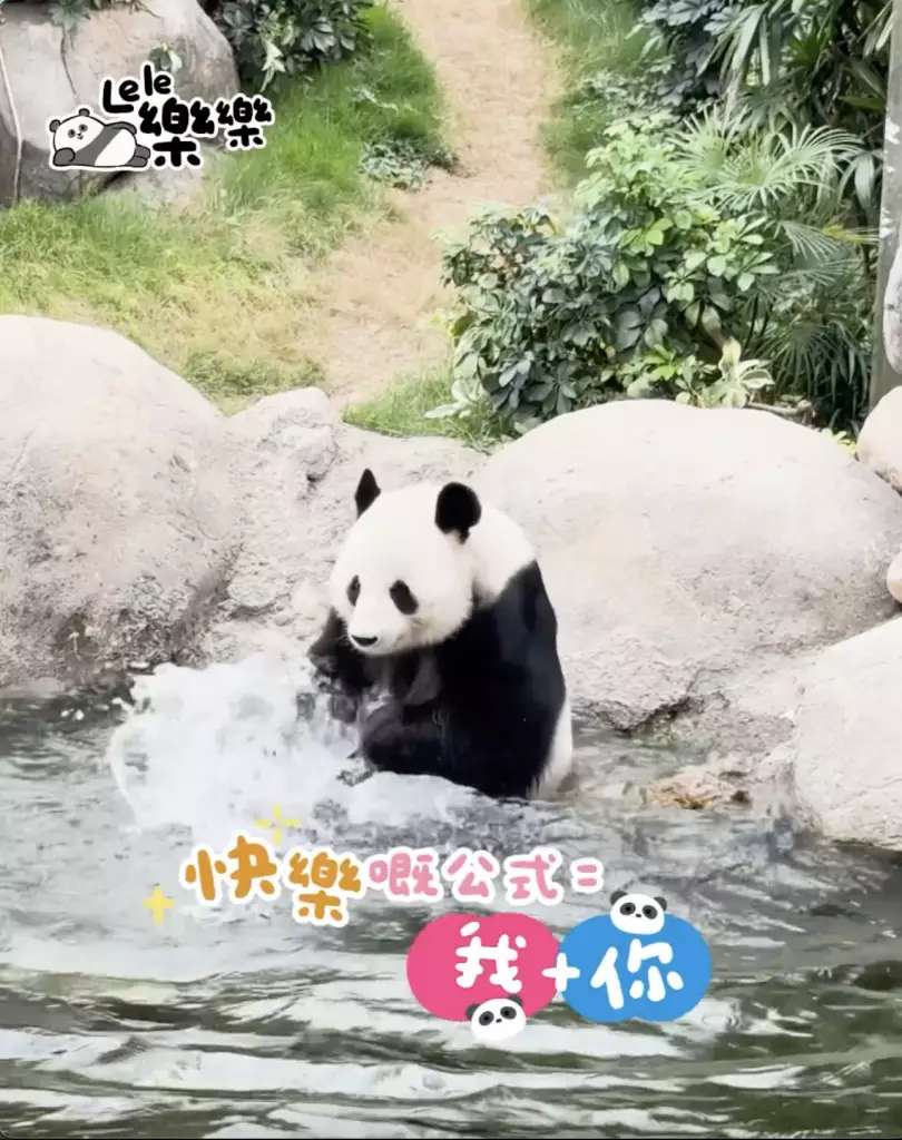 海洋公園「香港6寶」情人節齊放閃