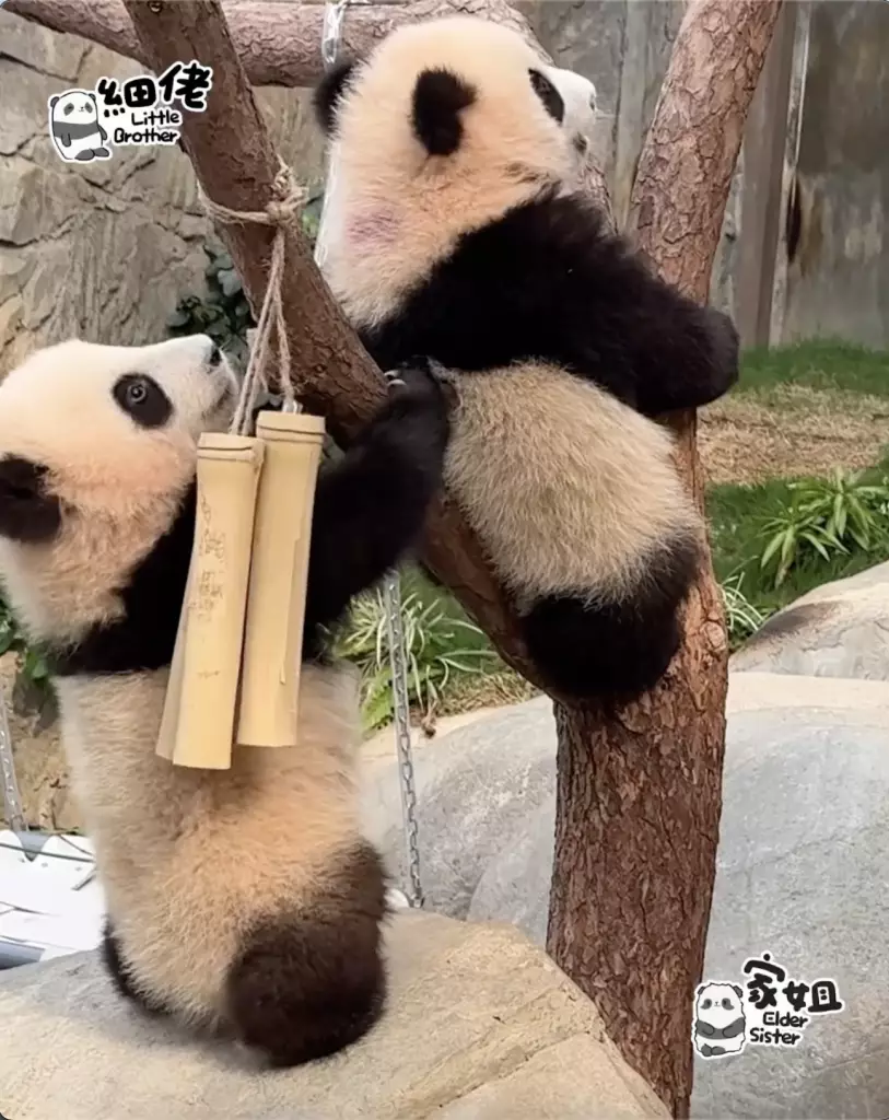 IG圖片