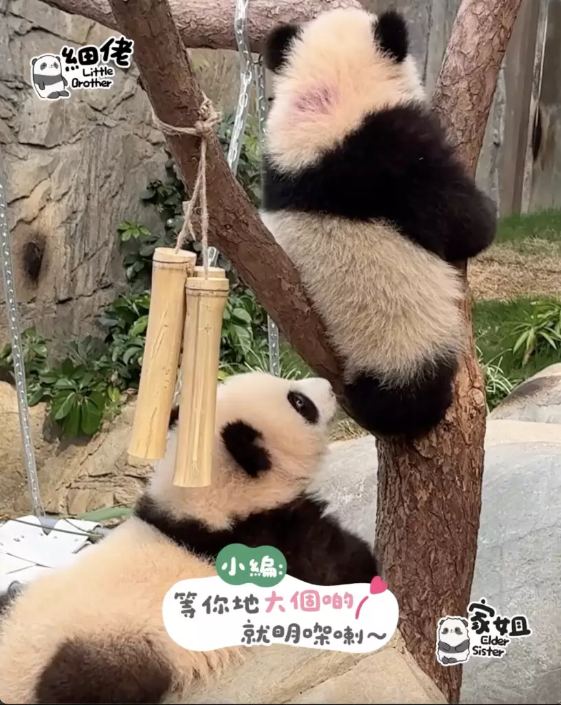 IG圖片