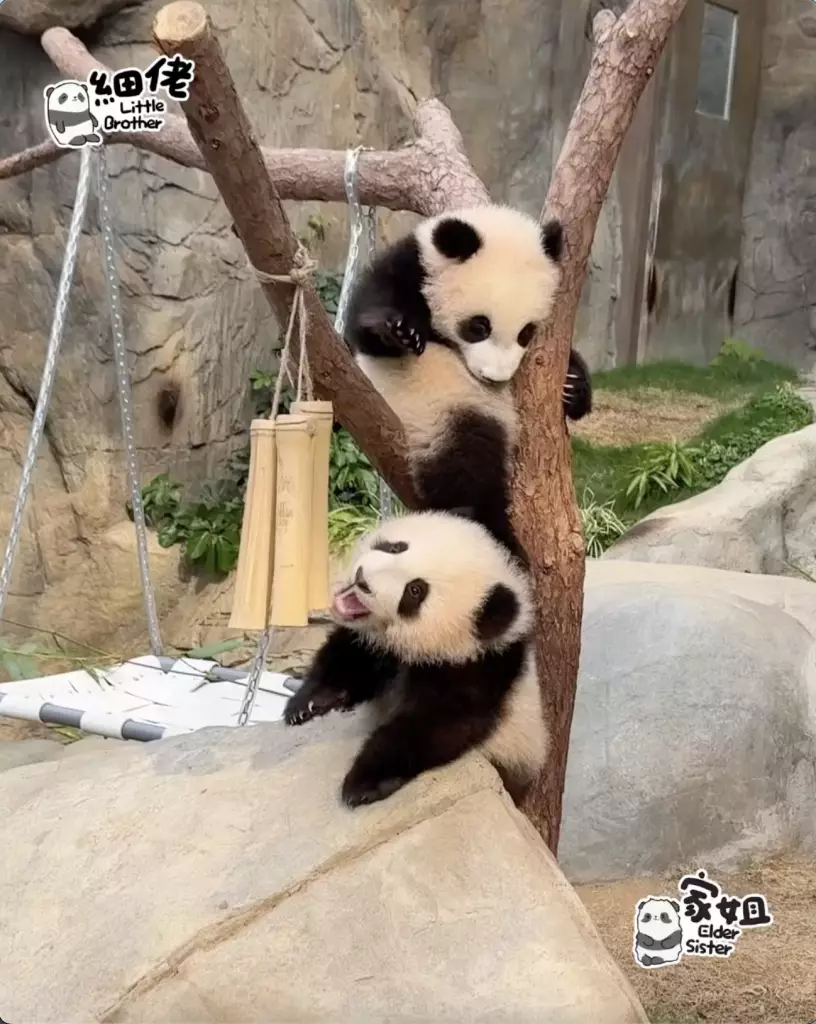IG圖片