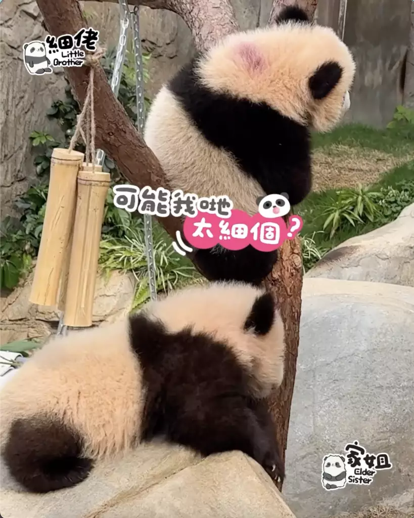 IG圖片