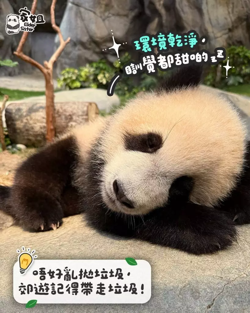 pandahk_official IG圖片