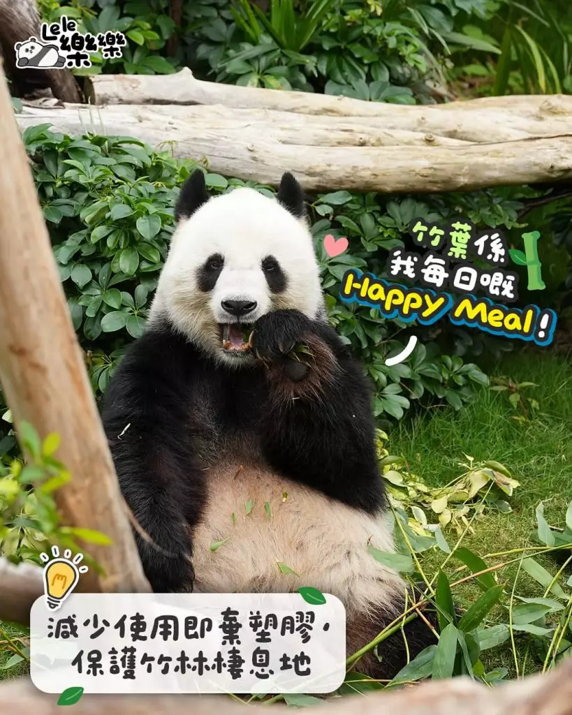 pandahk_official IG圖片