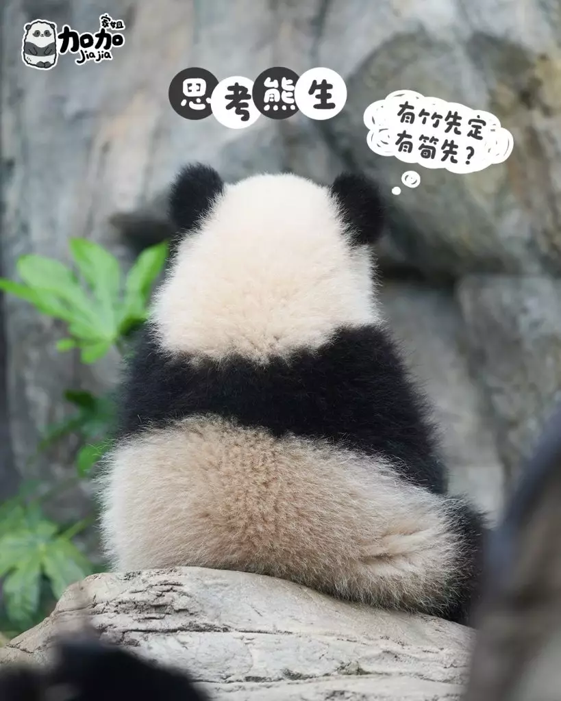 海洋公園ig圖片