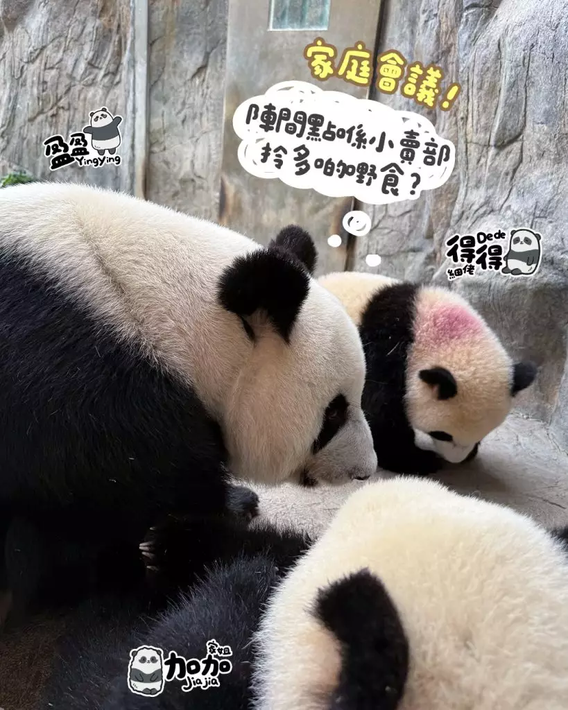 海洋公園ig圖片