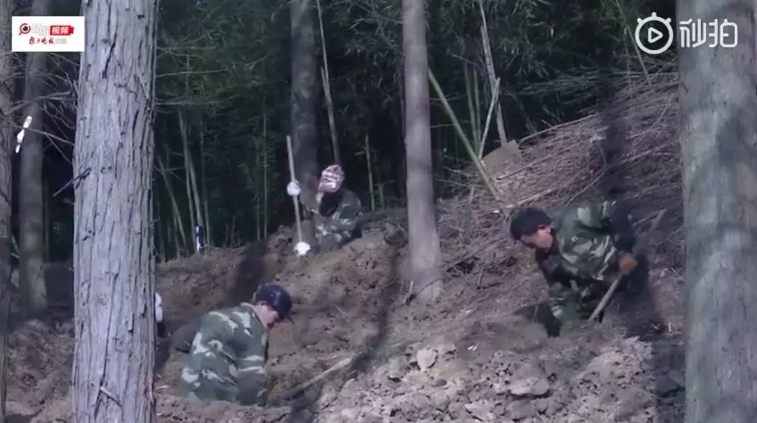 網上圖片