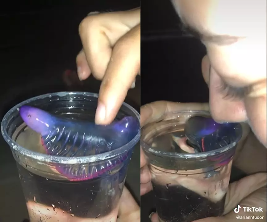 網上圖片