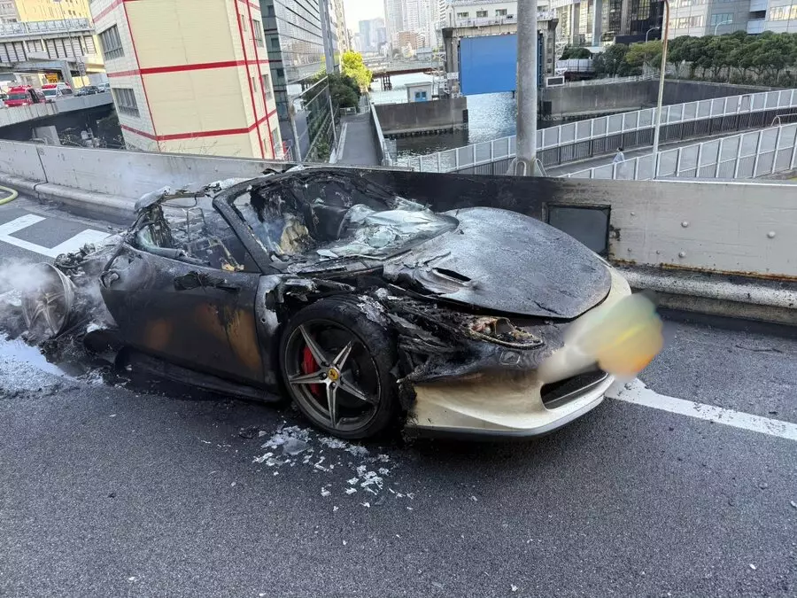 X平台照片