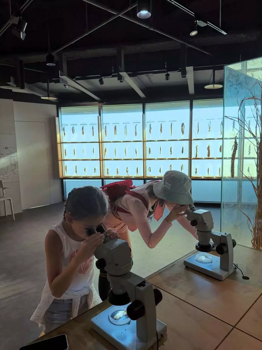 https://image.bastillepost.com/900x/wp-content/uploads/hongkong/2026/07/20260717_EN_Lin08_source-web_.jpg.webp
