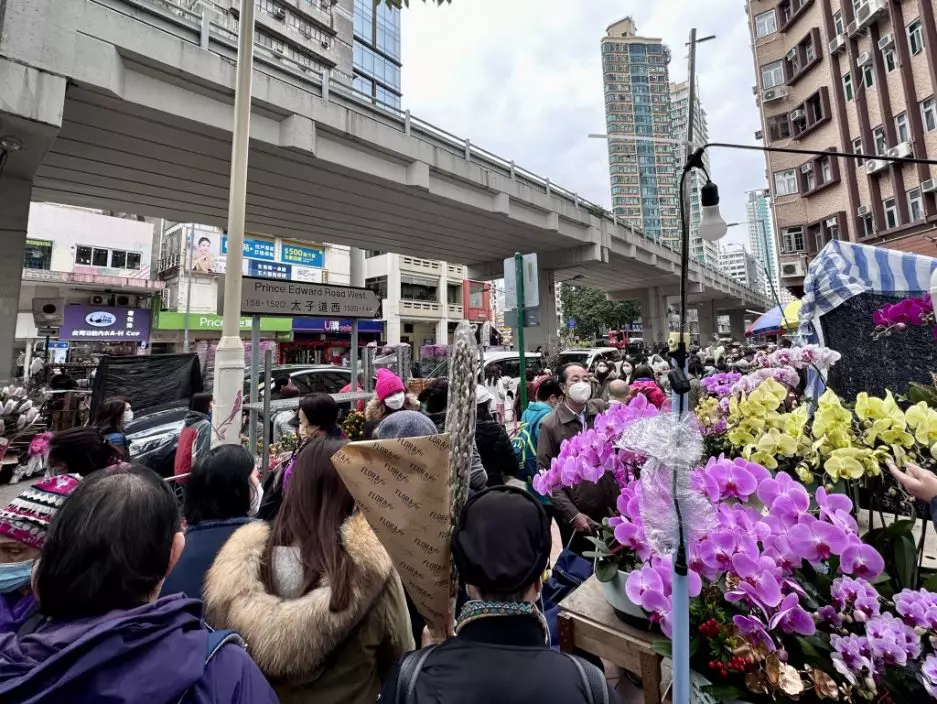大批市民到旺角花墟行花市。