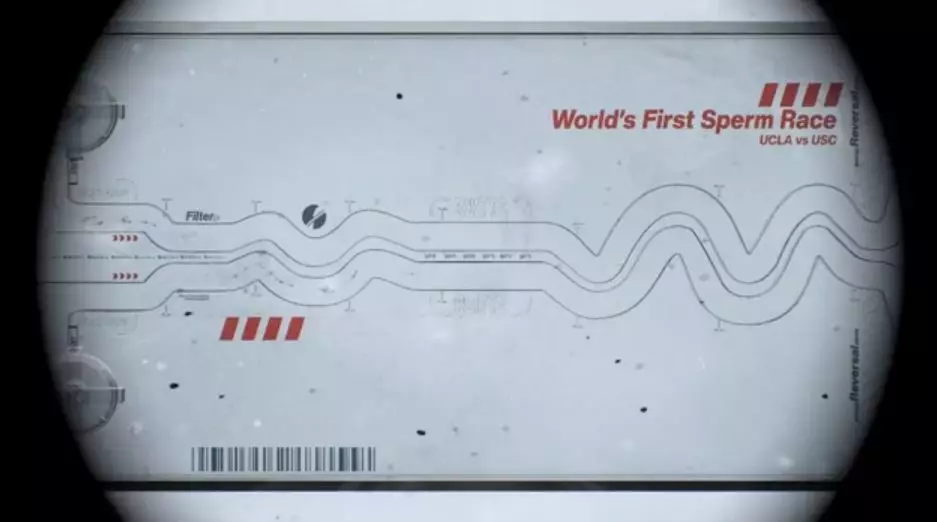 Youtube影片截圖@SpermRacingHQ
