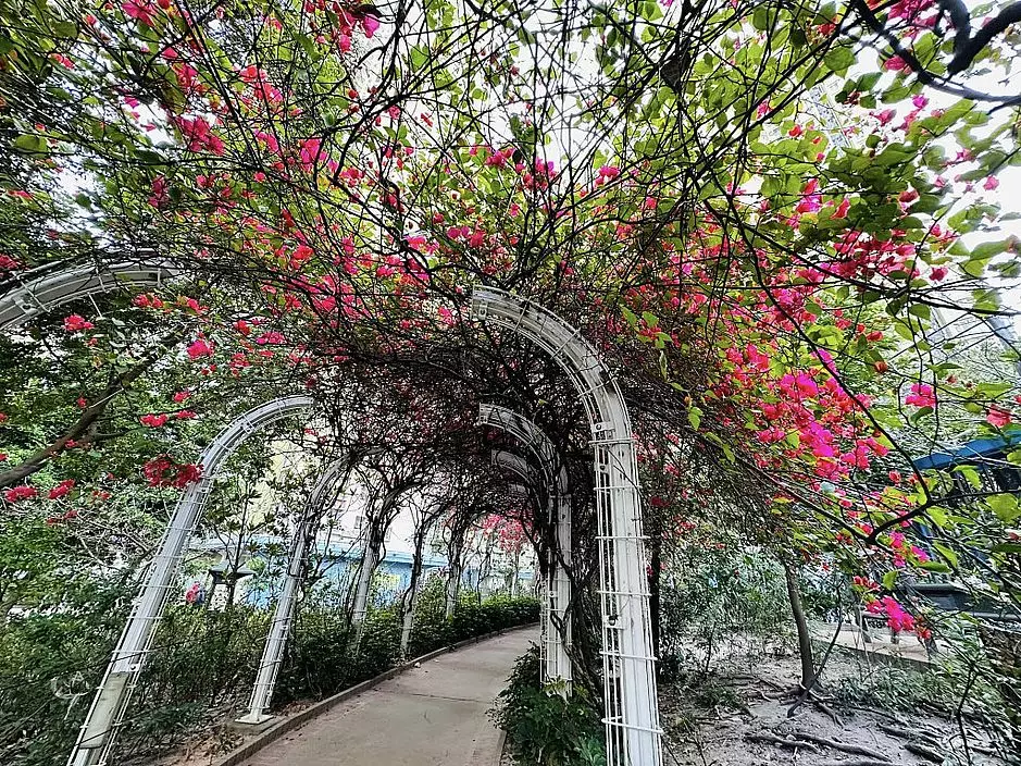 位於長沙灣的元州邨花隧道。(圖片來源:FB @ Winnie Lam授權)