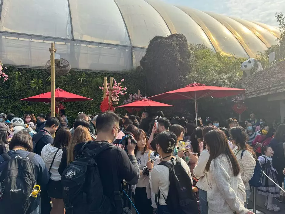 館外有太陽傘給參觀人士,雖然現場氣溫大約21度,但無阻市民入場探熊貓的熱情,有市民戴上帽及太陽眼鏡耐心等候。(巴士的報記者攝)