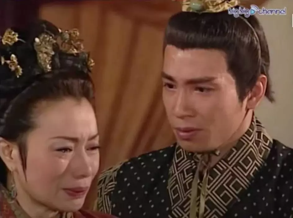 參與過不少劇集之演出。