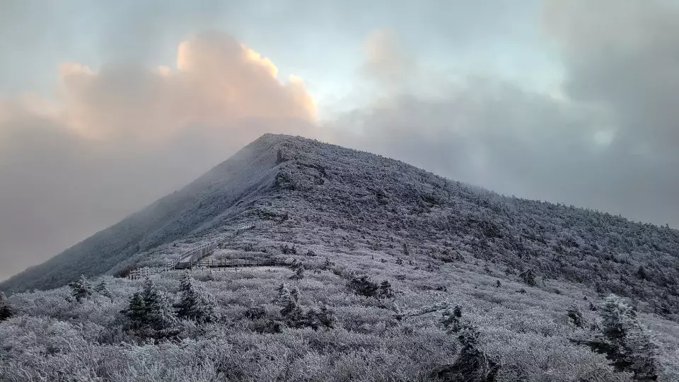 南韓雪嶽山國立公園。（網上圖片：韓國國家公園管理局官網）